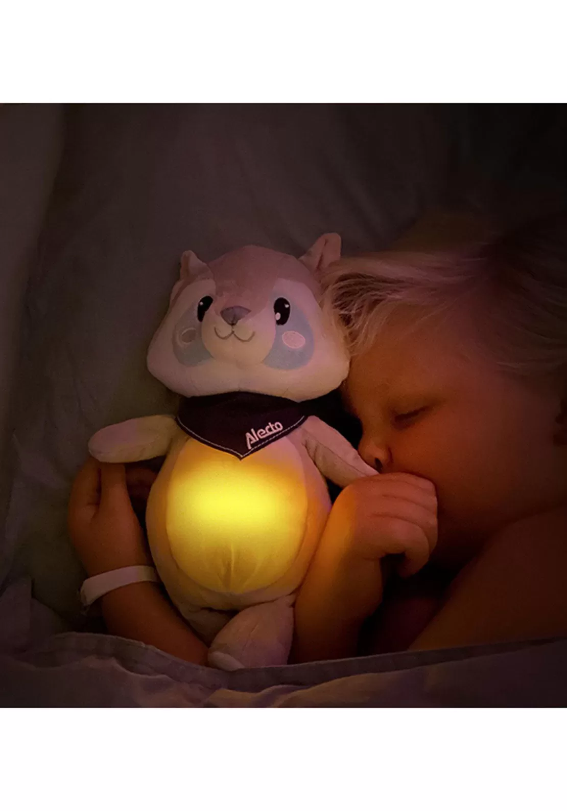 Cuddly Raccoon & Night Light | Bc351