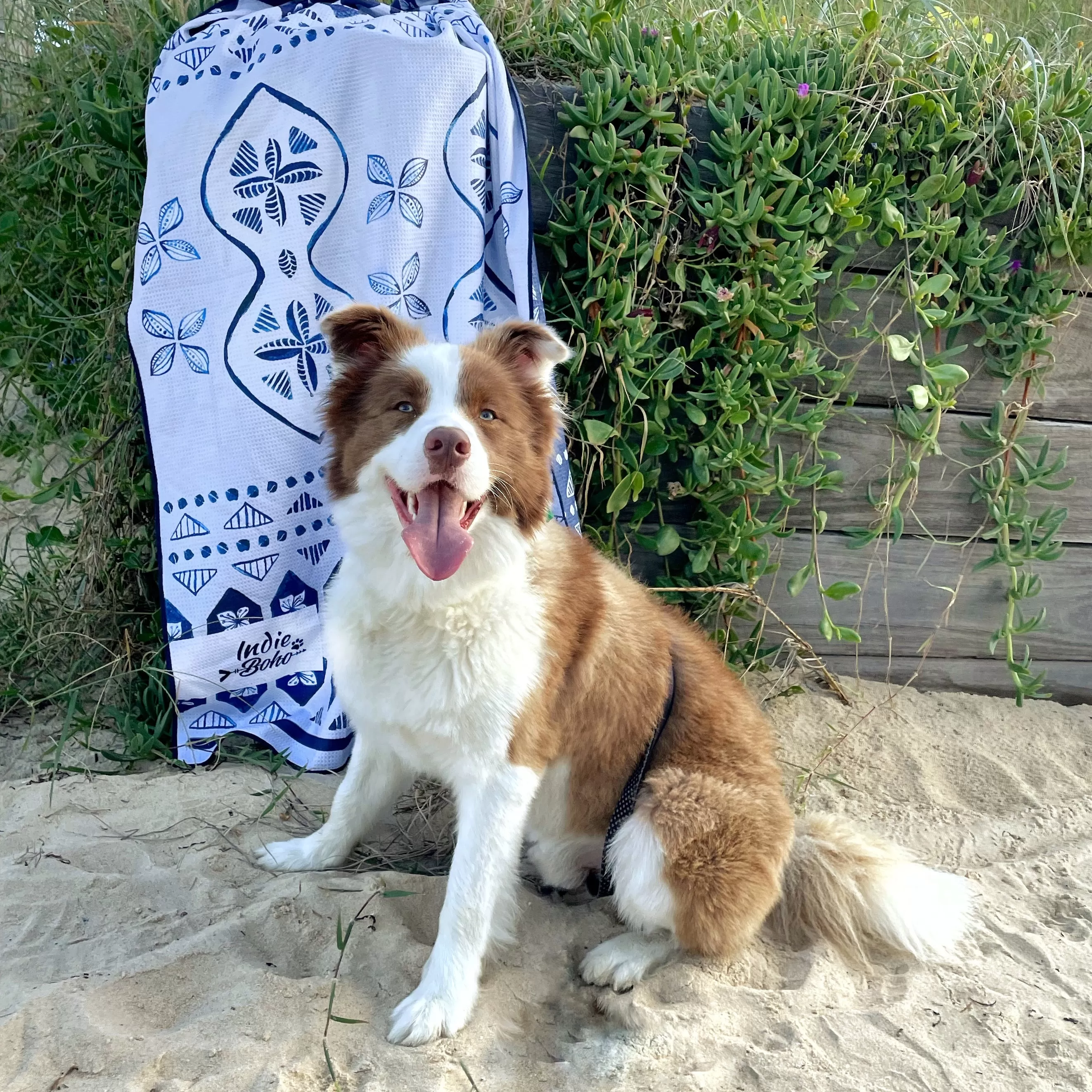 Noosa Nights Pet Travel and Bath Towel