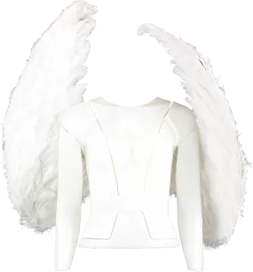 PrettyLittleThing White Extra Large Feather Angel Wings One Size